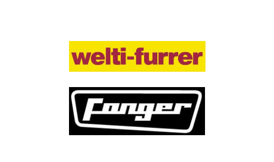 Logo Welti
