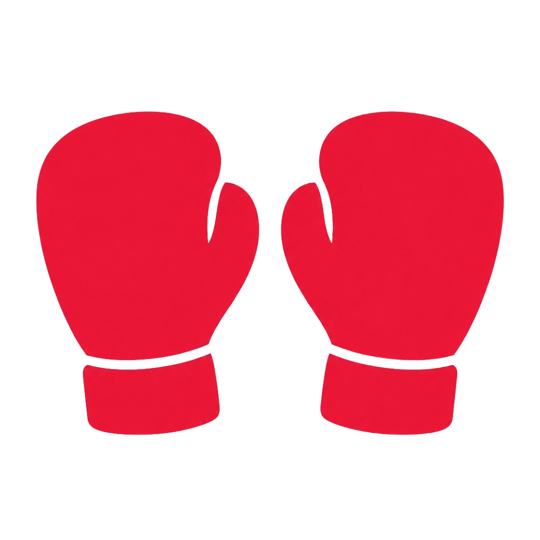 Boxing icon